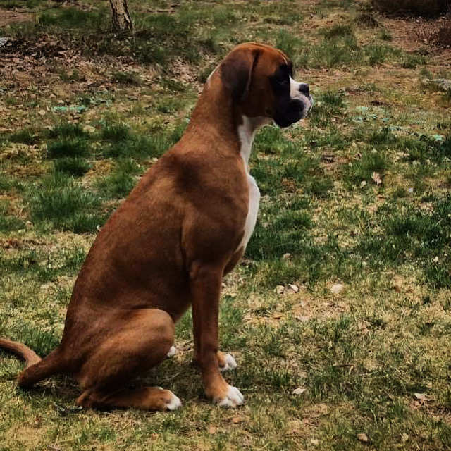 4DDEF0FE-1972-44DC-B634-0244A6A6AE9E