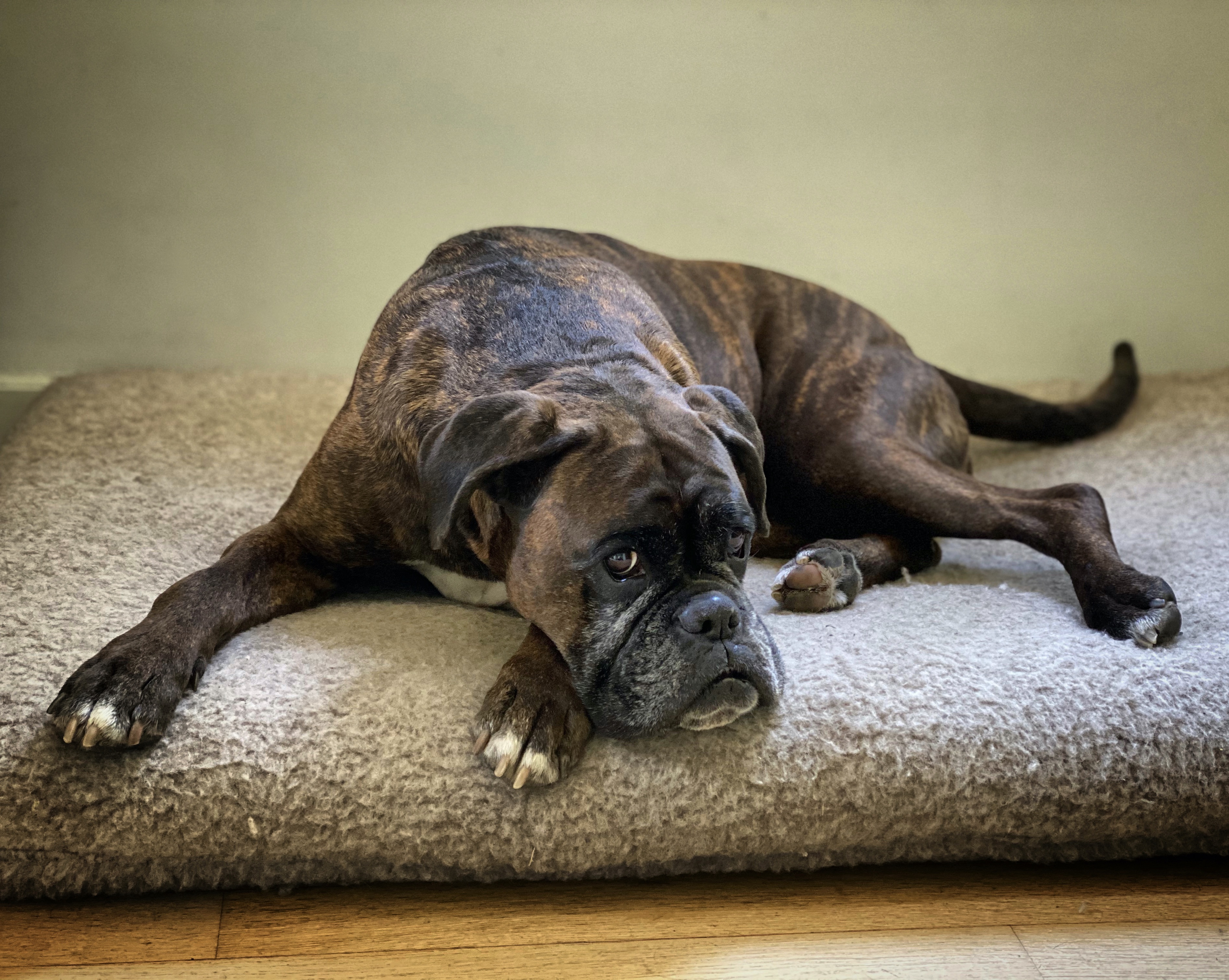 67DFC65E-8CA4-458F-A5C6-3ECC66B52E9D