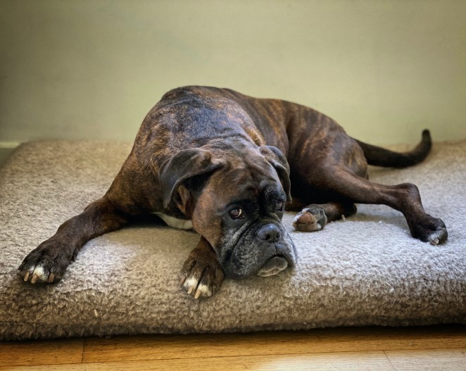 67DFC65E-8CA4-458F-A5C6-3ECC66B52E9D