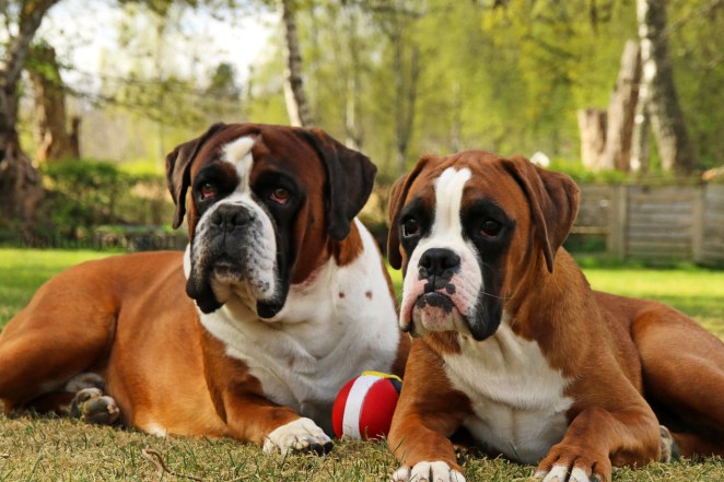 7382CE31-ADC5-4E42-BE67-E443C3639C5F