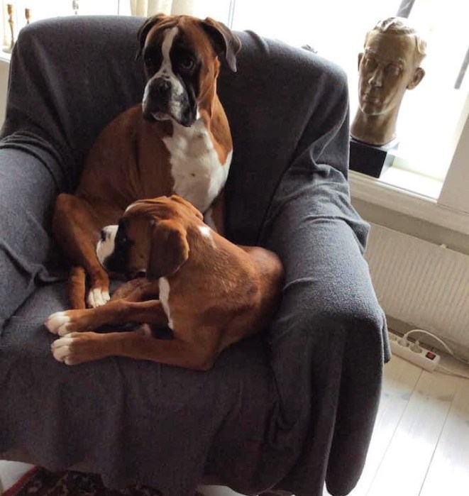 8BB439E2-4233-4B49-9C89-C4ED612380B0