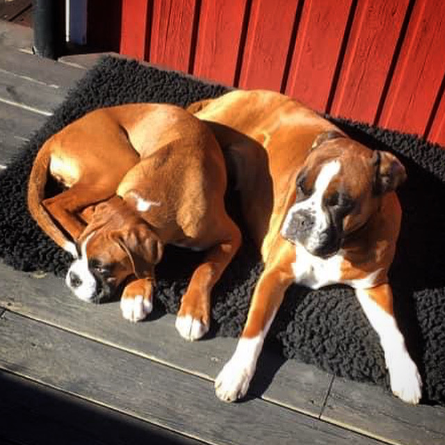 91354025-F70D-40C3-A2B5-23C72F8FDCE3 2