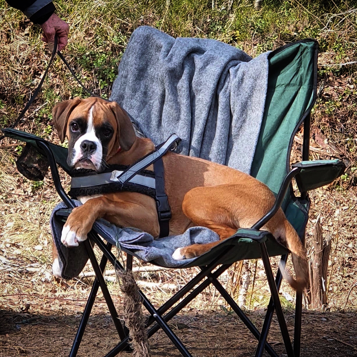 A05E492A-73B6-46E3-90BB-6B0095F3DD88