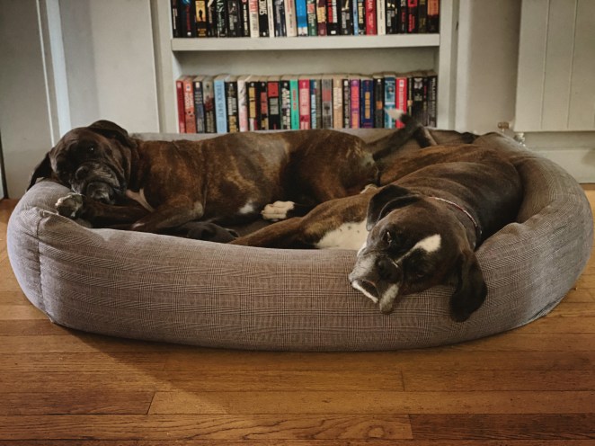 AE5FF51A-E8AC-40DC-A3A4-1AA950C8ED45