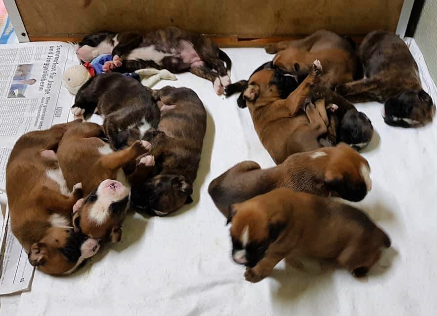 D1D6ED8F-70CA-4F60-8C06-C45E64EEBBF1