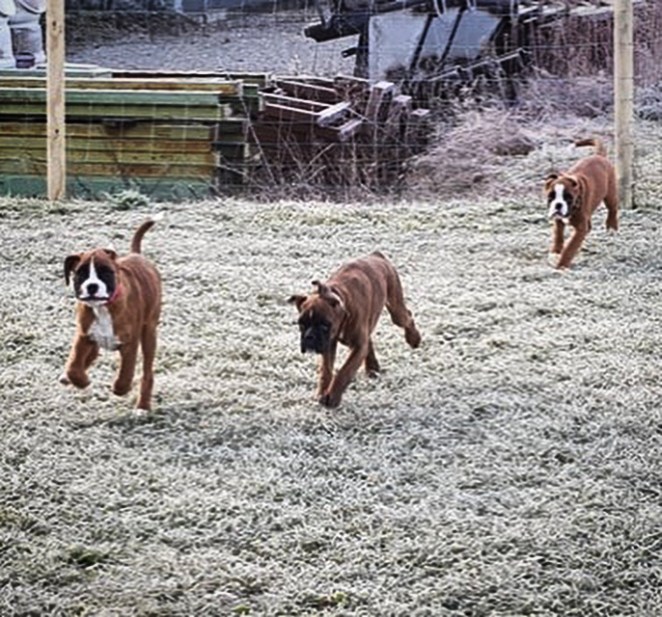 ED3C53EC-C385-4E5E-BA58-16FCA9834A4A