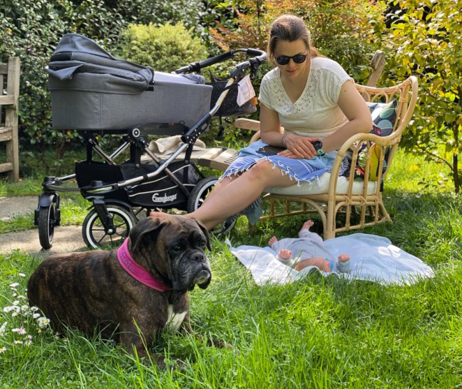 421337FF-3187-49CB-88FF-79E32A367B3D