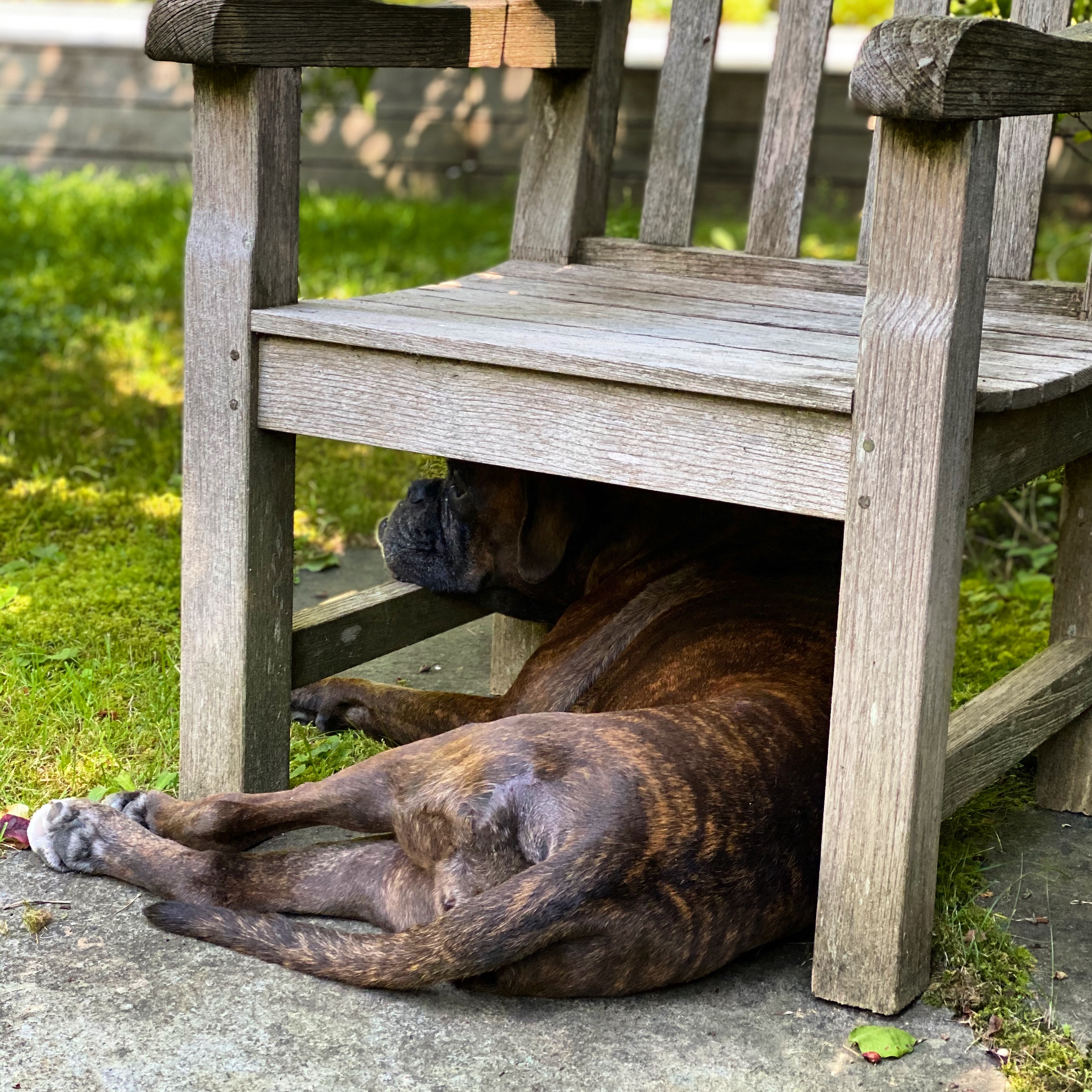 939E8792-CAD1-4D29-A4F7-4482A6225F79