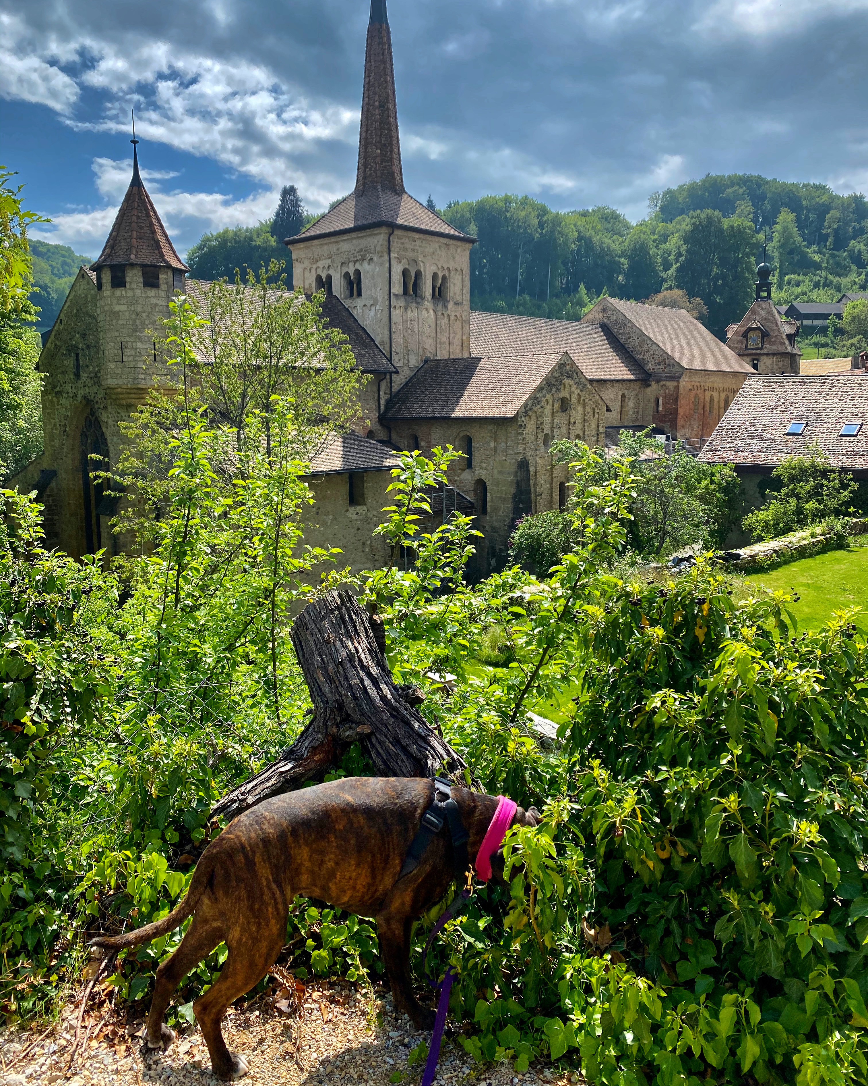 9C30CA30-ADE9-4F97-B83D-002422A7995A