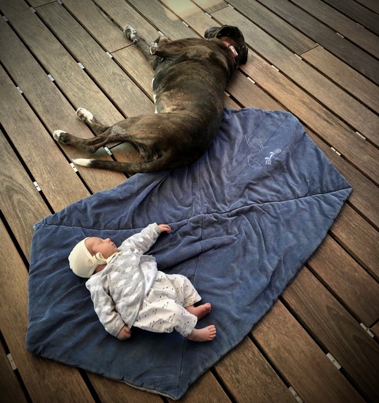 A37A0EC8-F57F-4DCF-A1BA-1F1156F67EB3