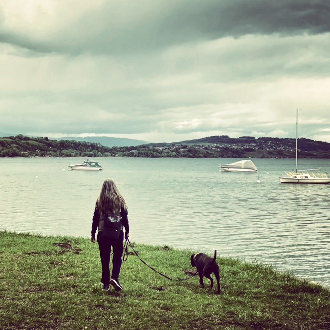 B874AD8D-0BEA-42A5-A2C9-FECE1B095C6B