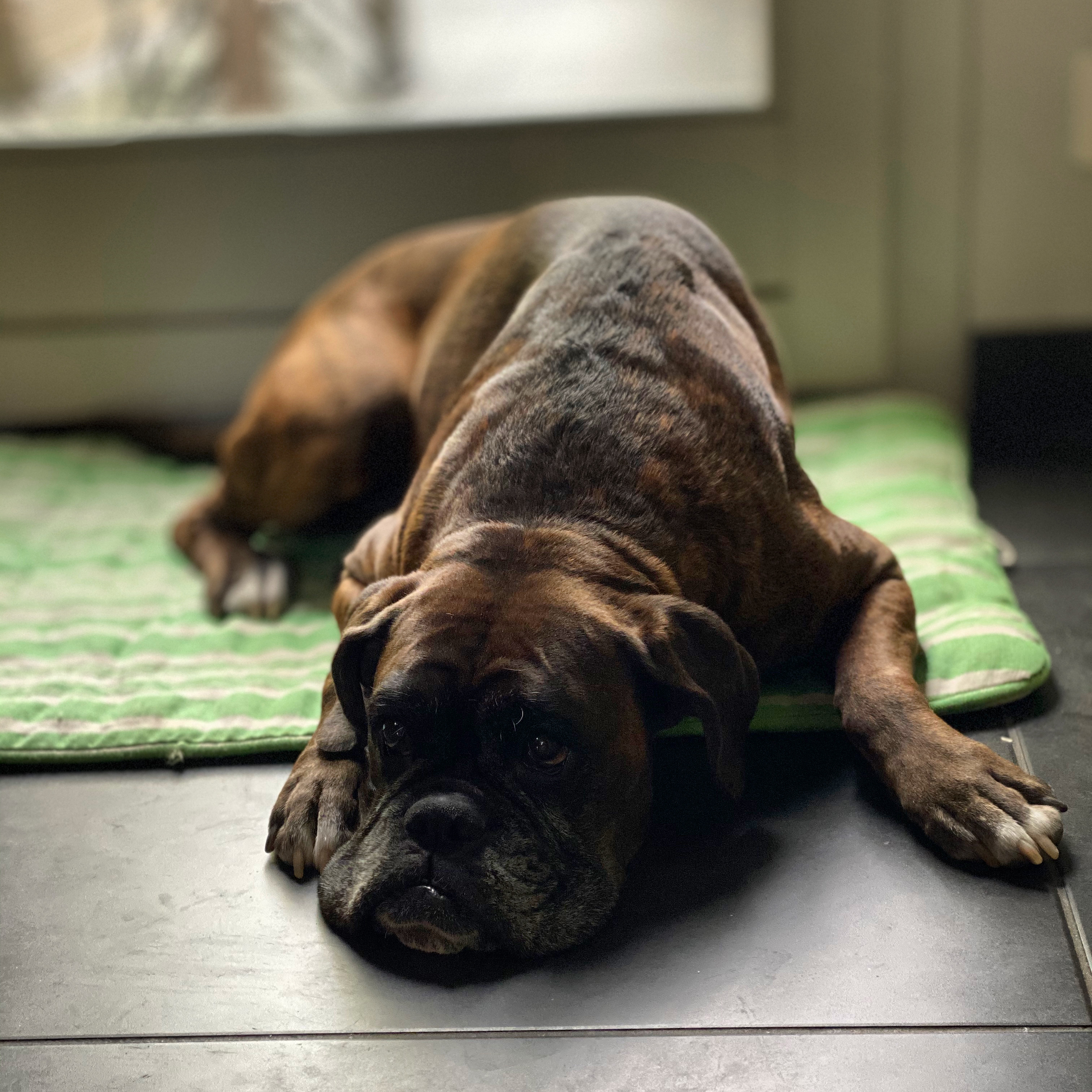 19CE5BDE-A141-461D-AA9D-A6046265DB31