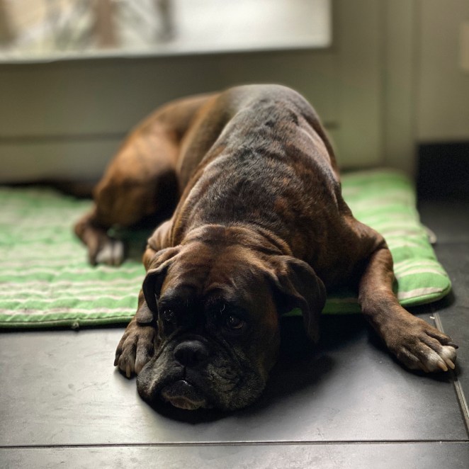 19CE5BDE-A141-461D-AA9D-A6046265DB31