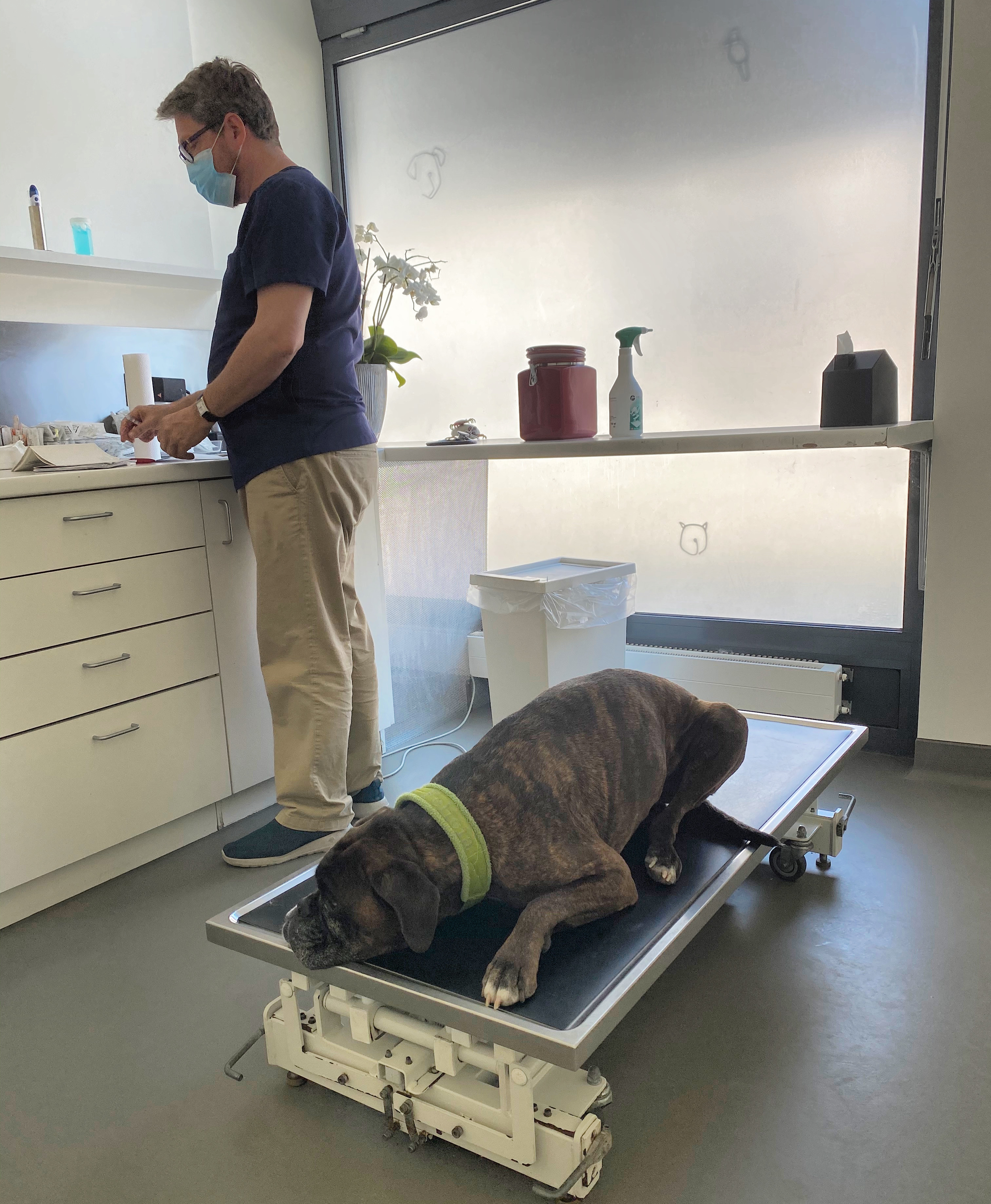 20A38A2C-838E-40CE-BED9-8FDB212CB876