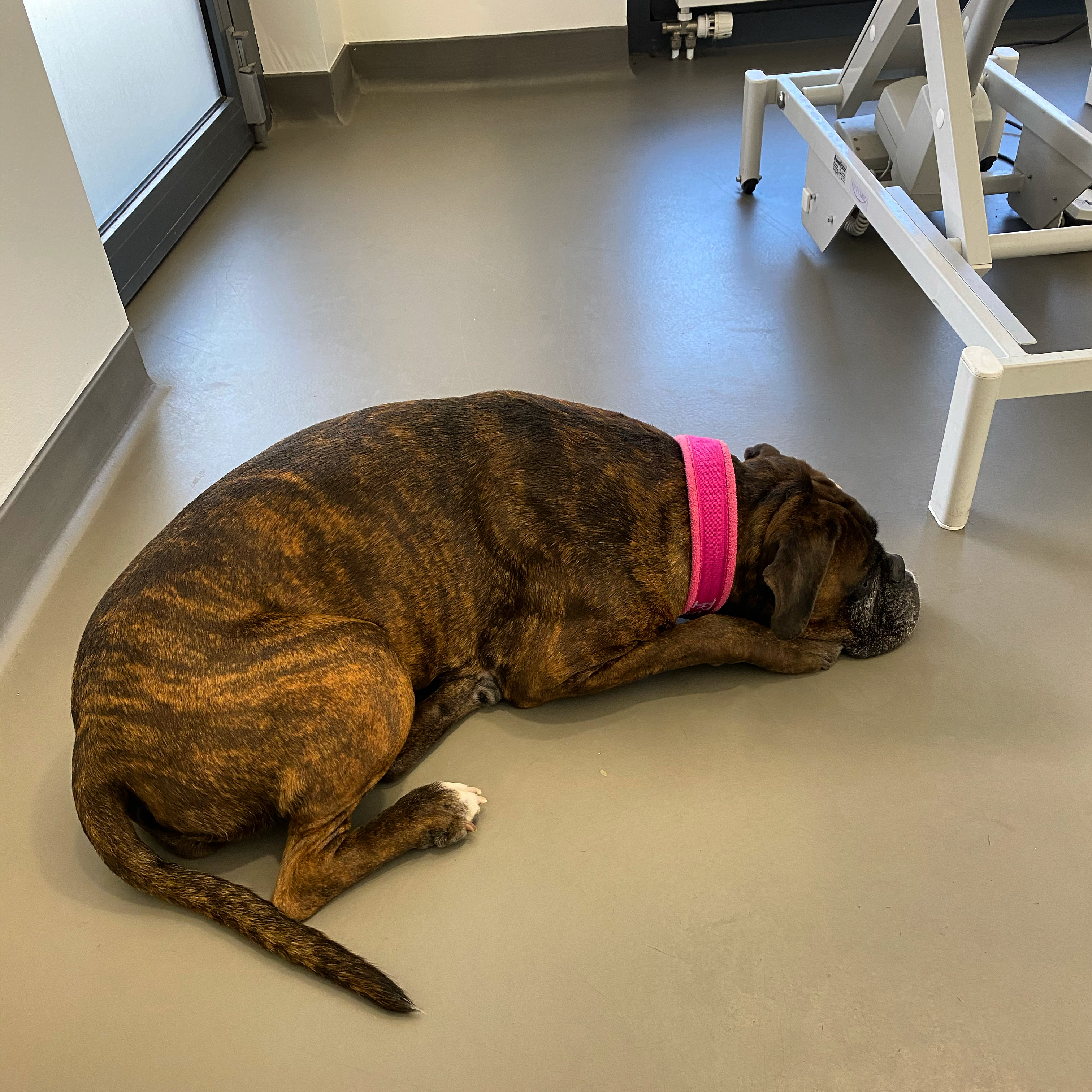 66CEE685-31EF-4285-B4FB-6F1045722E8F