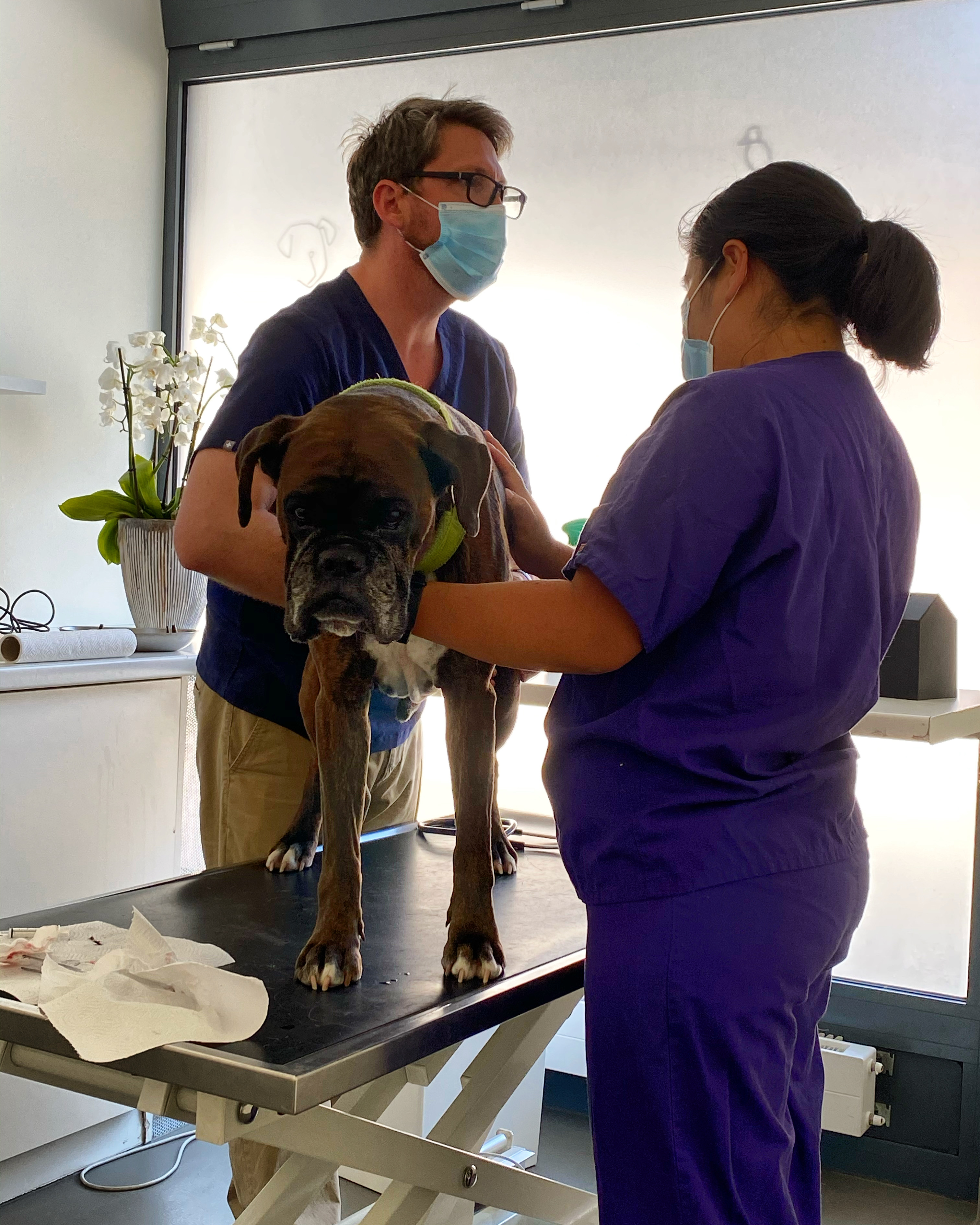 718A3240-7217-414F-9114-366AAA132BC4