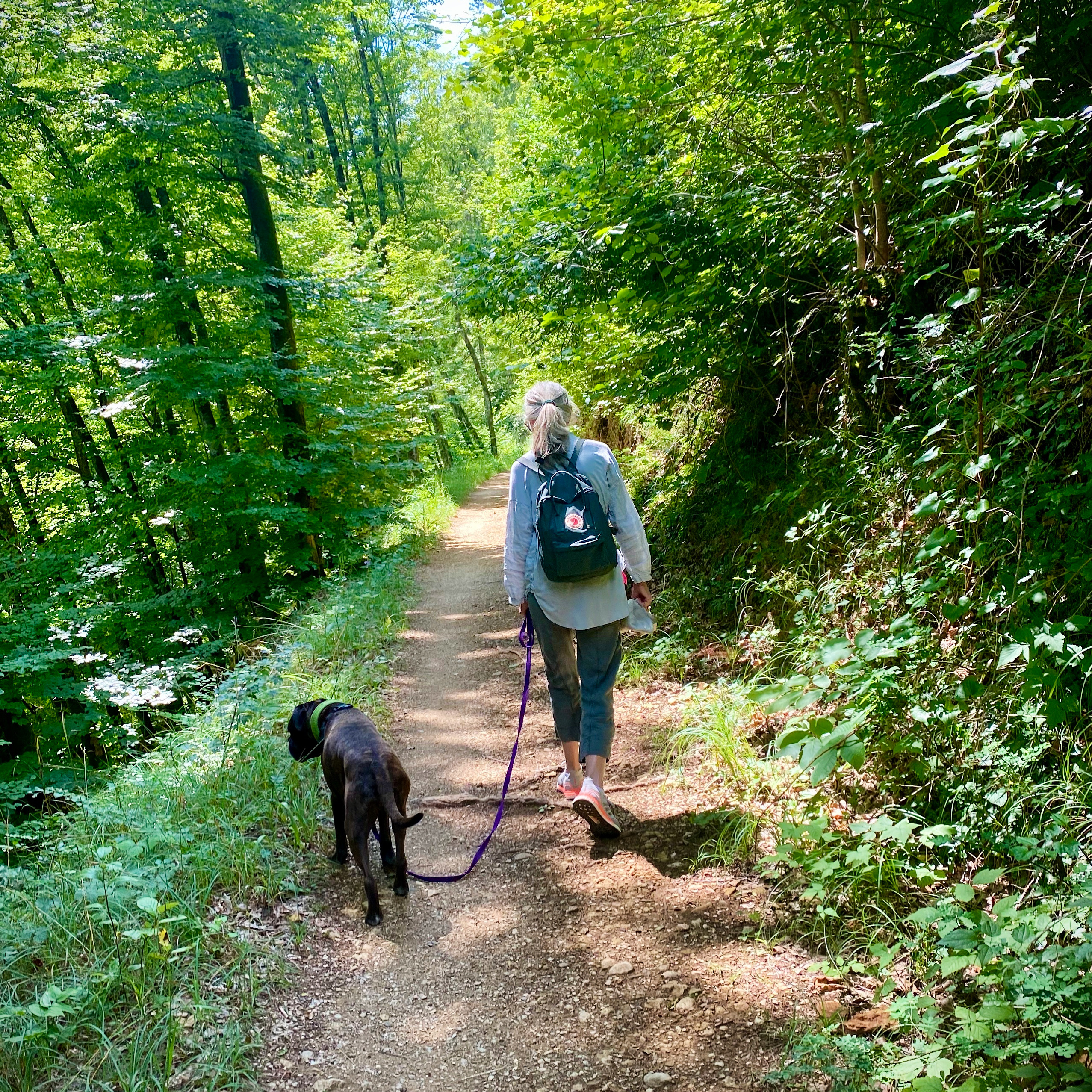 C7A946CB-73DD-4B17-9D54-7BEECF8B3E3A 2